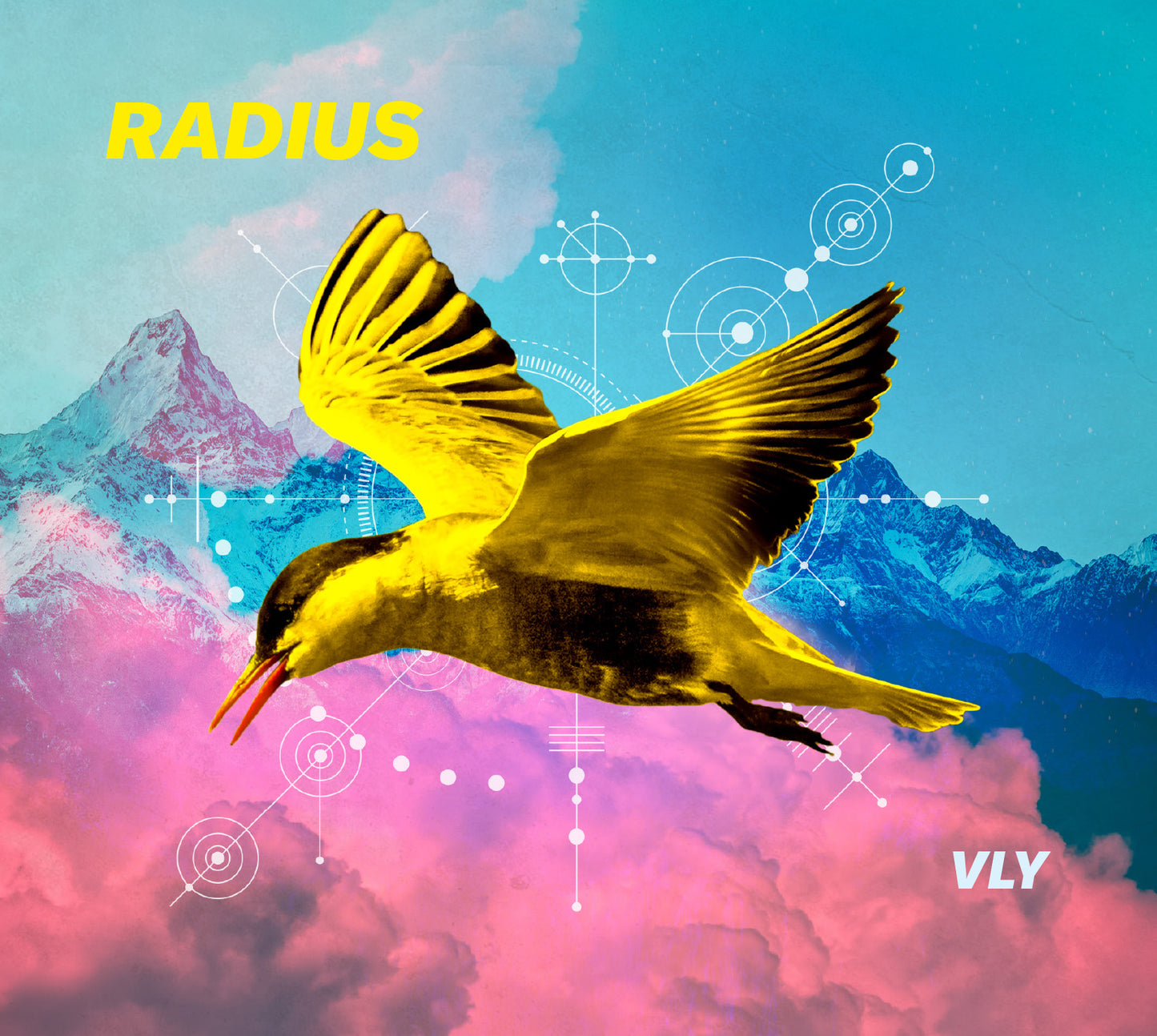 CD "VLY"